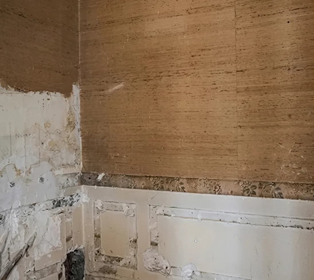 Rénovation d'un séjour haussmannien — avant travaux
